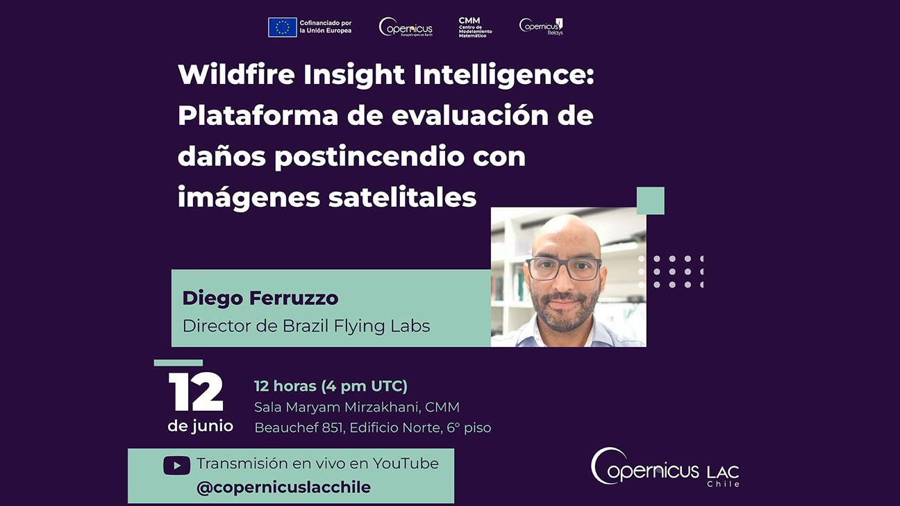 June 12, 4 PM UTC: Copernicus Chile invites you to a seminar on assessing forest fire damage using satellite imagery