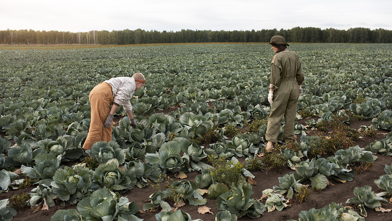 Smart Agro RAF LATAM: Blockchain para la trazabilidad de la agricultura familiar en América Latina